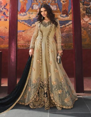 cream coti - net with embroidery sequance work with stone work and back side work | top - heavy banglori silk with embroidery work | sleeves - net with embroidery work | bottom - santoon | dupatta - net | length - max upto 54 