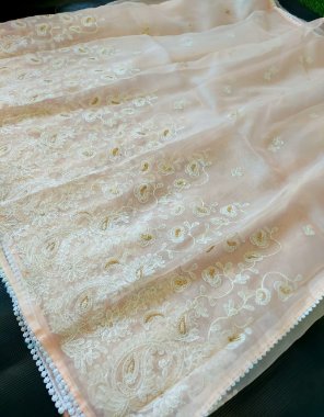 peach heavy pure organza with lucknowi work | blouse - banglori satin silk fabric lucknowi embroidery work casual 