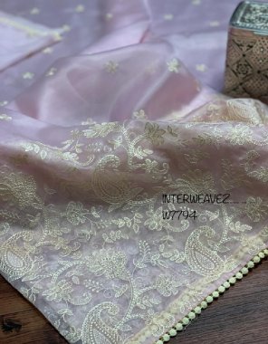 pink kashmiri organza silk with lucknowi work | blouse - matching silk fabric lucknowi work work casual 