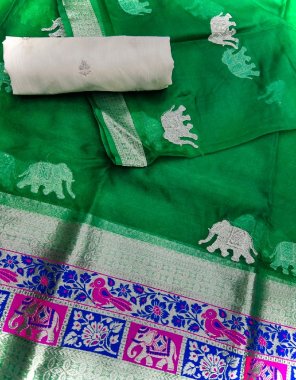 green pure organza saree with elephant work | blouse - white blouse fabric embroidery work casual 