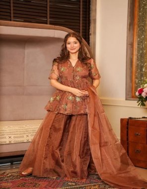 brown organza | complate linning  fabric embroidery work festive 